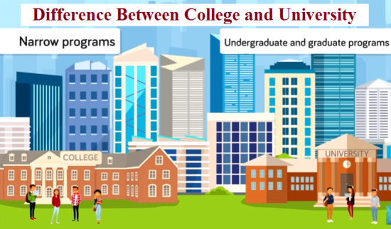 What is the difference between College and University?