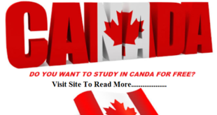 How to Study in Canada for free