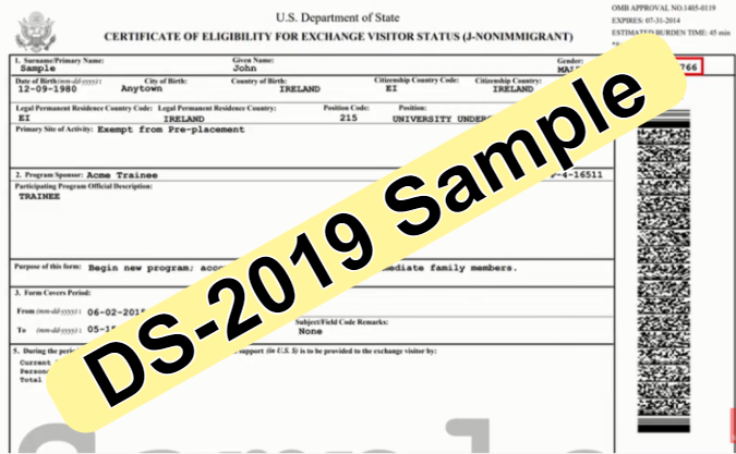 ds 2019 form