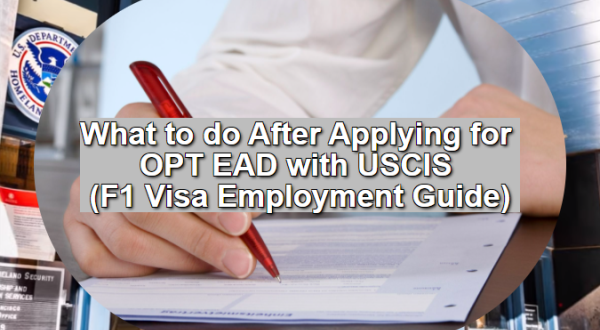 What to do After Applying for OPT EAD with USCIS