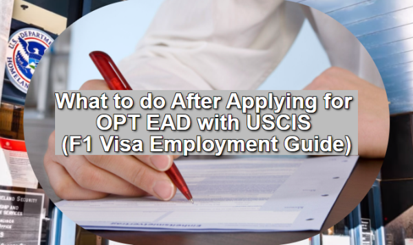 What to do After Applying for OPT EAD with USCIS