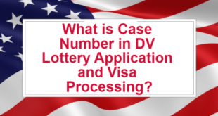 What is Case Number in DV Lottery Application and Visa Processing
