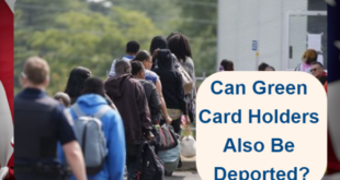 can a green card holder be deported for domestic violence