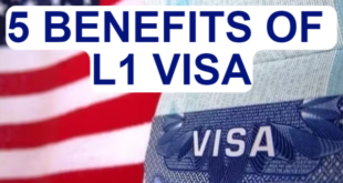 Benefits of the L1 Visa