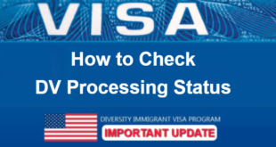 How to Check DV 2024 Processing Status