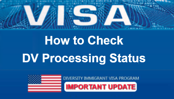 How to Check DV 2024 Processing Status