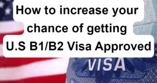 U.S B1/B2 visa approved