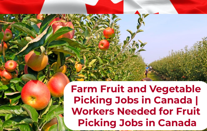 Farm Fruit and Vegetable Picking Jobs in Canada