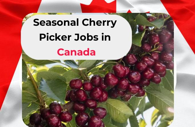 Cherry Picker Jobs in Canada