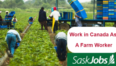 Work in Canada as a Farm Worker