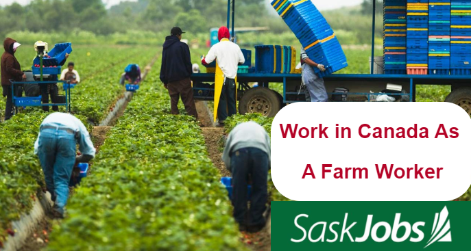 Work in Canada as a Farm Worker