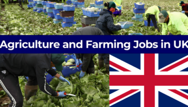 Agriculture Jobs in UK with Skilled Worker Visa Sponsorship