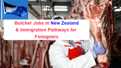 Butcher Jobs in New Zealand