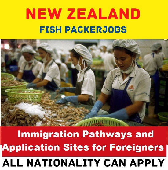 Fish Packer Jobs in New Zealand