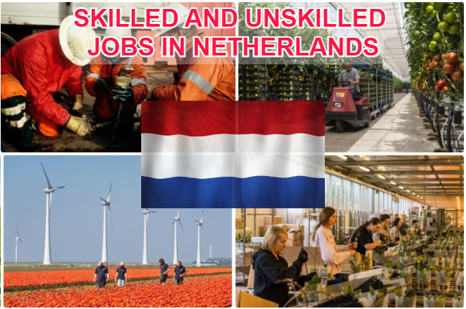 Skilled and Unskilled Jobs in NETHERLANDS