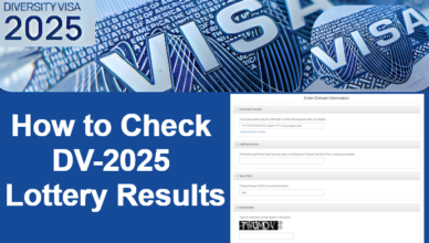 How to Check DV-2025 Lottery Results