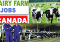Dairy Farm Worker (Opening): Jobs Descriptions and Application Sites